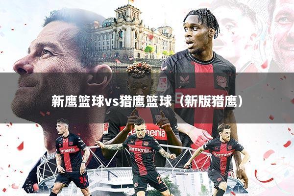 新鹰篮球vs猎鹰篮球（新版猎鹰）