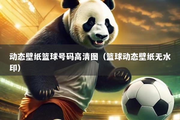 动态壁纸篮球号码高清图(篮球动态壁纸无水印)