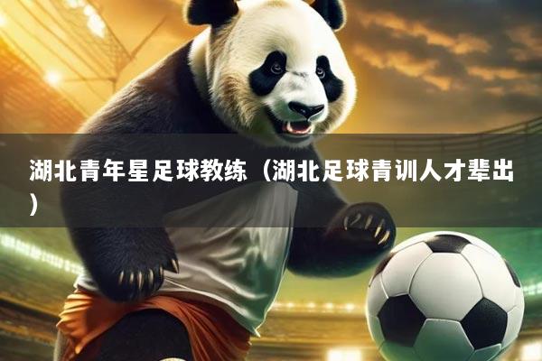 湖北青年星足球教练(湖北足球青训人才辈出)