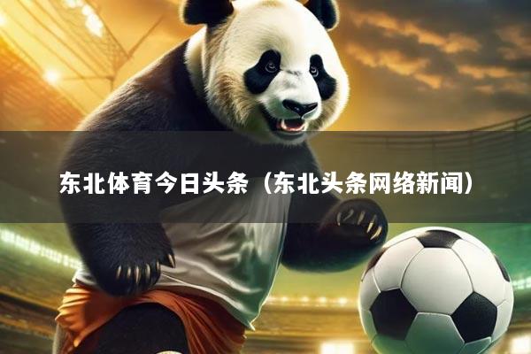 东北体育今日头条(东北头条网络新闻)