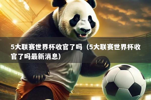 5大联赛世界杯收官了吗(5大联赛世界杯收官了吗最新消息)