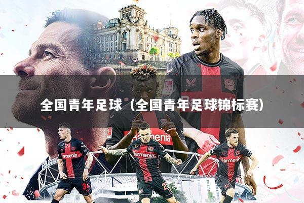 全国青年足球(全国青年足球锦标赛)
