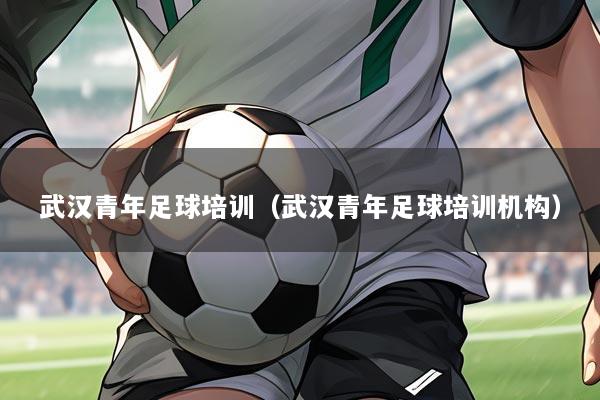 武汉青年足球培训（武汉青年足球培训机构）