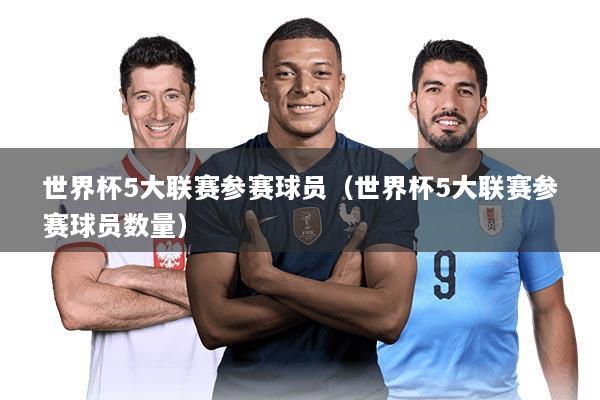 世界杯5大联赛参赛球员（世界杯5大联赛参赛球员数量）