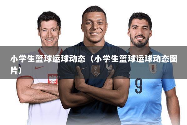 小学生篮球运球动态(小学生篮球运球动态图片)